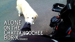 ALONE on the Chattahoochee BDRX - Episode 2