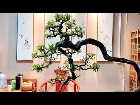 Home & Garden || 🍊66 Lifewell Store #66lifewell #home #garden #shorts