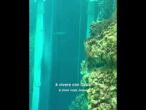 Psicografia di Christiane Ferreira. Palmelo Goiás