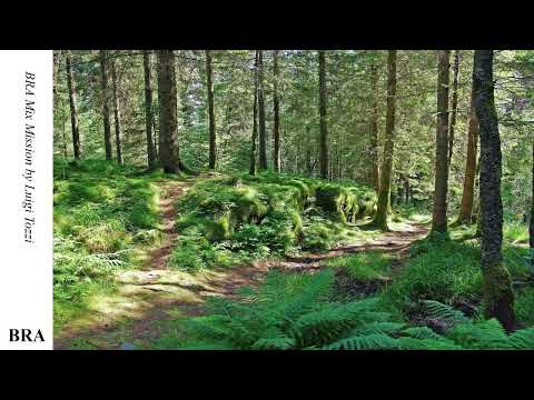 BRA Mix Mission by Luigi Tozzi