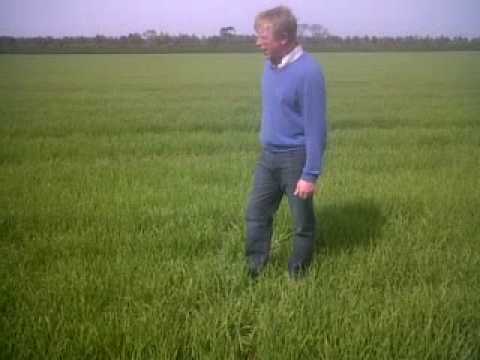 Patrick Stephenson - winter barley woes