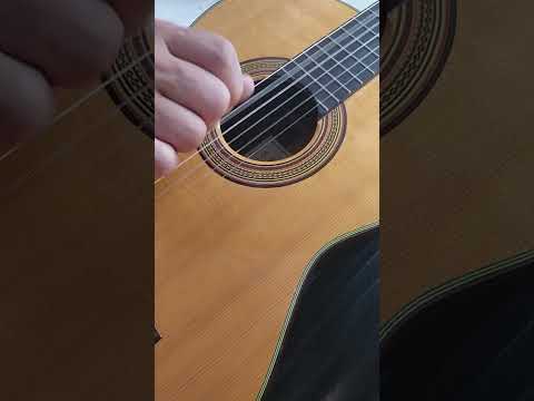 S. Yokoo No 15 Kohno Class Handmade Classical Guitar 1979 image 19