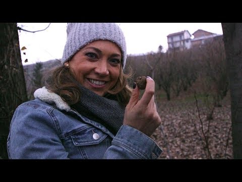 download lagu mp3 mp4 Italian Truffles, download lagu Italian Truffles gratis, unduh video klip Italian Truffles