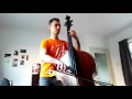 The Pink Panther Theme on Double Bass