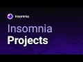 Insomnia Projects: API Collaboration and Documentation
