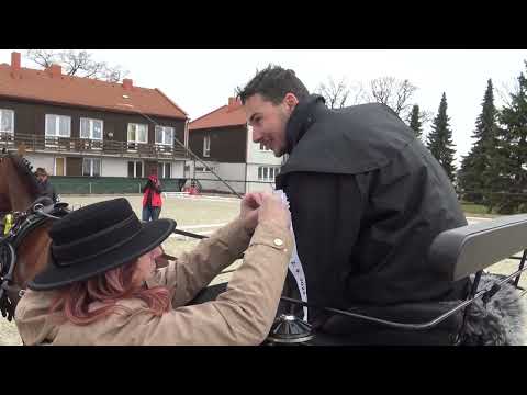 Dekorování, jednospřeží 2* – spřežení Slatiňany, 2. 4. 2022