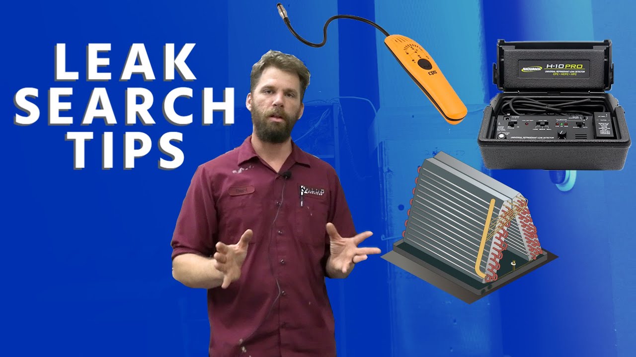 Leak Search Tips From Bert