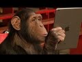 Simon Pierro un mago para monos que te va a encantar