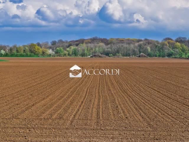 Accordi Immobiliari DT324