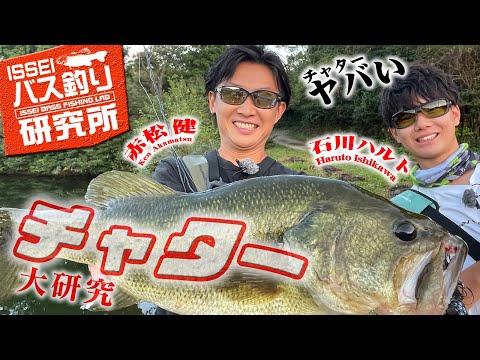 【イッセイISSEIバス釣り研究所】チャター大研究【赤松健&石川ハルト】
