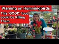 PLEASE Watch if You are Feeding Hummingbirds Homemade Nectar w/ Hummingbird Feeder to Help Wildlife