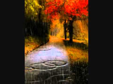 An Autumn's Rain [No Rain Sound Effects]