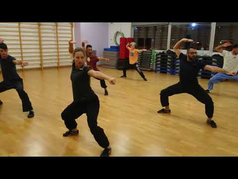 Corso Shaolin Kung Fu