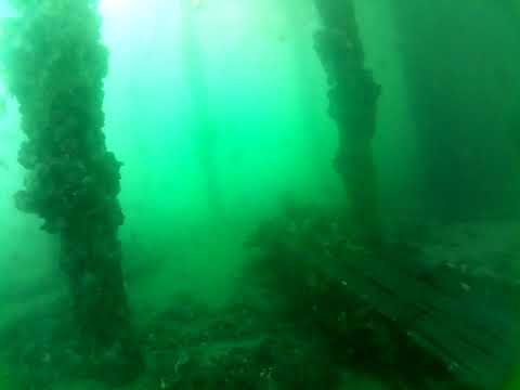 Edithburgh Live by AusOcean 02/03/2023