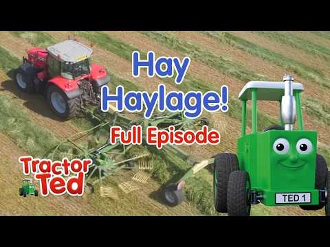 Hay Haylage | Tractor Ted Full Episode | Farm Animals & Tractors For Kids