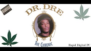 Dr. Dre - The Chronic - Bitches Ant Shit - Vinyl 1992