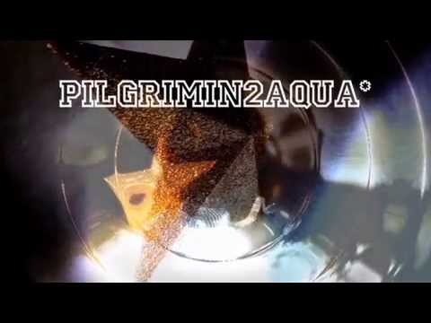 AngryFungi V's 'Pilgrimin2Aqua' (Vj-Dj Mix)