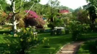 Download lagu TRC rental mobil pontianak mp3