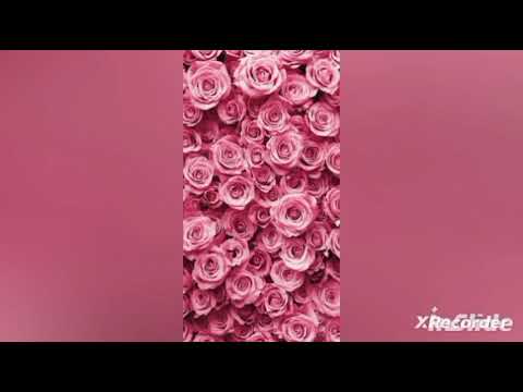 Beautiful flowers wallpaper DP 2026