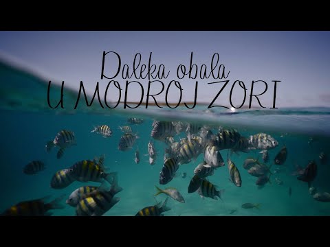 Daleka obala - U modroj zori (Official lyric video)