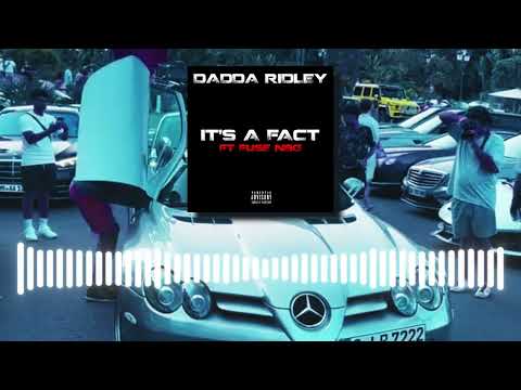 Dadda Ridley x Fuse NBG - It's A Fact (Audio Visualiser)