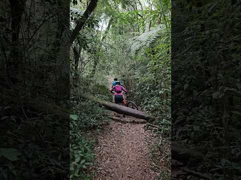 🚴 Estrada da Baitaca - Quatro Barras PR.