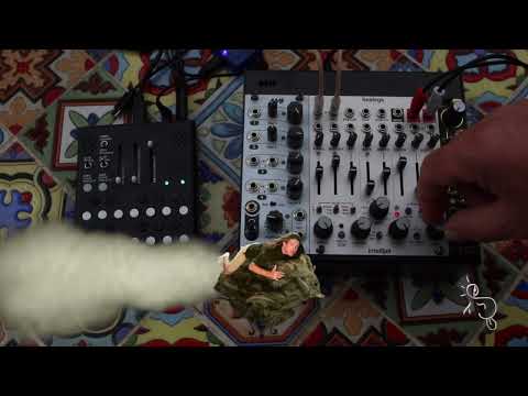 Lucky Charm | Intellijel Sealegs x Meng Qi Wingie2 | Live Ambient Jam | 2023