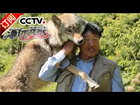 《流行无限》 20161023 “狼王”杨长生 | CCTV-4