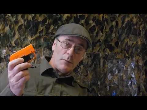 Gundog training.Introducing gunfire