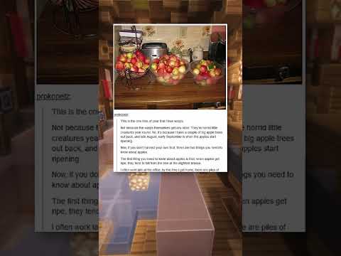 meet the wasp destroyer 🐝