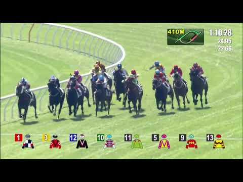 28/11/2021 (206) Light Of Wanshi - Z Purton