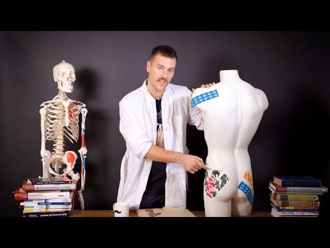 Ćwiczenia na mięśnie brzucha i boków Ćwiczenia na mięśnie bez hantle