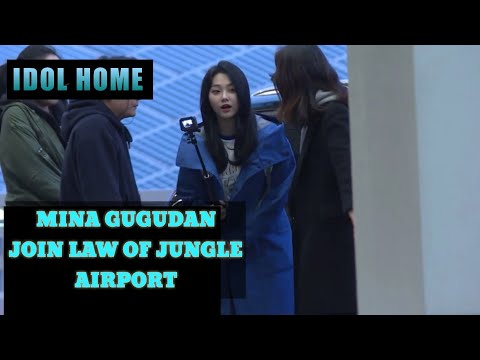 MINA GUGUDAN - GABUNG LAW OF JUNGLE