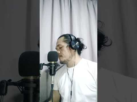 Please Don't Stop Remembering Randy Edelman cover by Sandro Tan