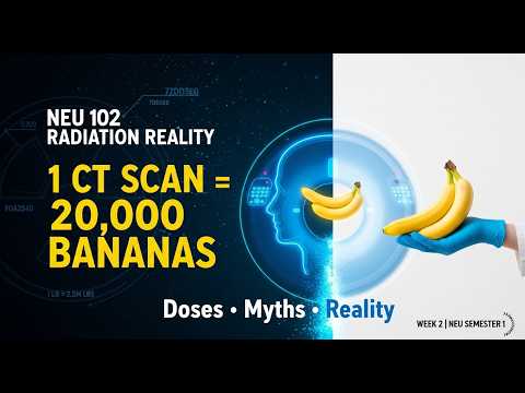 NEU 102 Radiation Reality 1 CT Scan equals 20000 Bananas The Dose Truth