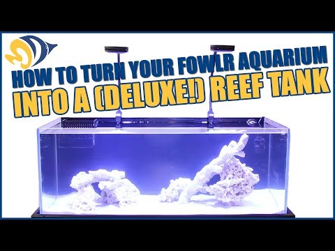 How to turn your FOWLR Aquarium into a (deluxe!) Reef Tank