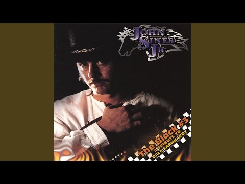 The Horse That They Rode in On