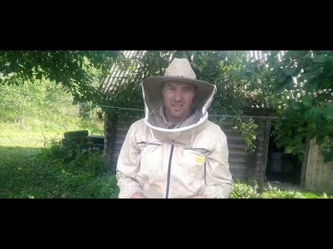 Пчеловод Михаил Гращенко  Ответы на все Ваши вопросы Анонс стрима