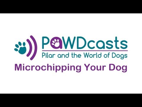 Microchipping Your Dog - PAWDCasts: Pilar and the World of Dogs