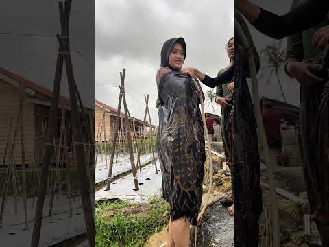 Neng milah habis main lumpur #fyp #gadisdesa #jandadesa #kampung #desa #short #village #viral