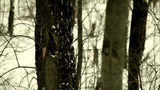 Arkona   Liki bessmertnykh bogov 720p)