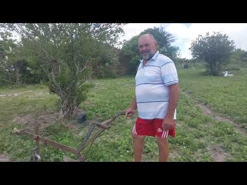 VISITANDO  SEU VALENTIM NO SÍTIO LAGOINHA   DO SABÁ EM CUSTÓDIA PERNAMBUCO BRASIL 