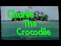 Charlie The Crocodile