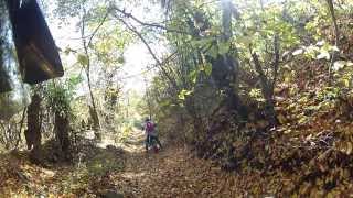 preview picture of video 'Carpathian ADVentures - Poiana Ruscai Mountains RO - 20.10.2013 - From Cerbal to Govajdie'