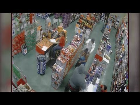 Lee S Surveillance