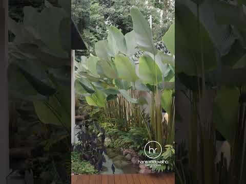 Houses — Video 2