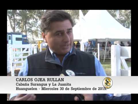 30-09-15 Nota Carlos Ojea Rullan. - 4º Remate del Oeste - Huanguelen.