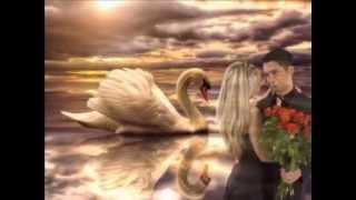 Die Flippers   In einer andren Welt