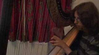 Sawdust &amp; Diamonds ( Joanna Newsom Harp Cover )