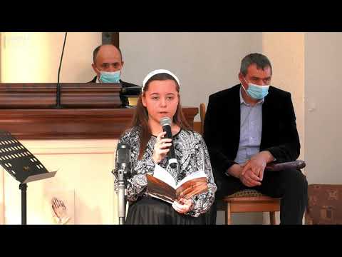 Delia Irjik - Definiţia iubirii